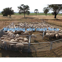 Heavy Durty Sheep Yards Painel para venda (com ISO9001 e SGS)